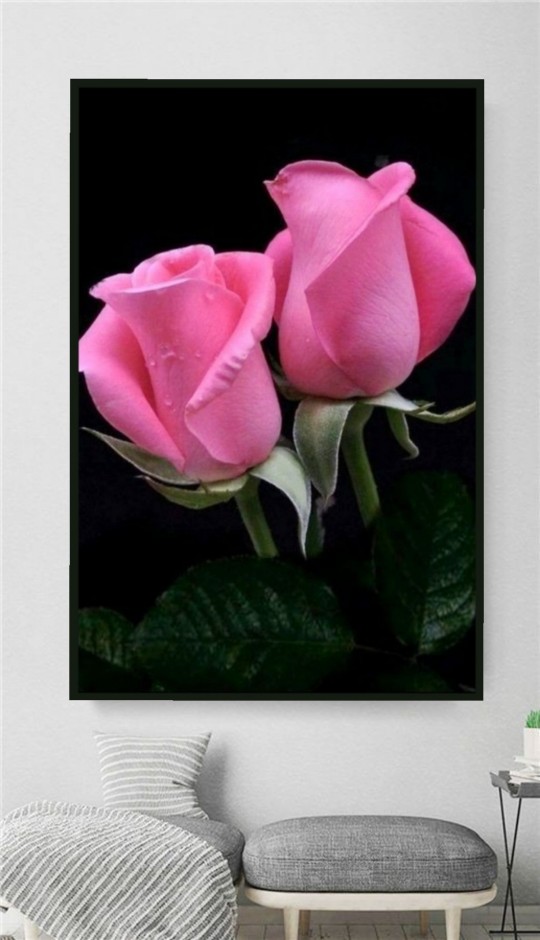 تابلو عکس گل رز صورتی mg364، خریدبالای 1,699,000 تومان * ارسال رایگان است*پیشنهاد ویژه هر عکسیم خودتون داشته باشین براتون میزنم به همون قیمت سایت ودر سایزهای بزرگ